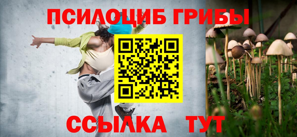 Псилоцибиновые грибы GOLDEN TEACHER  Вход с VPN  Псилоцибиновые грибы GOLDEN TEACHER  Нягань 